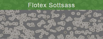Flotex Sottsass